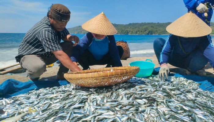 Foto Hasil Tangkapan Nelayan Tradisional Pangandaran