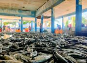 TPI Bojongsalawe Jadi Lautan Ikan Hasil Tangkapan Nelayan