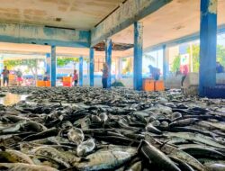 TPI Bojongsalawe Jadi Lautan Ikan Hasil Tangkapan Nelayan