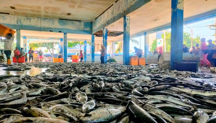 TPI Bojongsalawe Jadi Lautan Ikan Hasil Tangkapan Nelayan