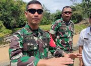 Ratusan Hektar Pesawahan Kekeringan, Dandim Pangandaran Tinjau Bendungan Matras