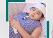 Inilah Fakta Penting Tentang DBD,Waspadai Nomor 3