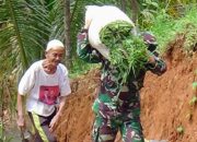 Anggota TNI Kodim Pangandaran Bantu Lansia Angkut Rumput Saat TMMD ke-123 di Langkaplancar