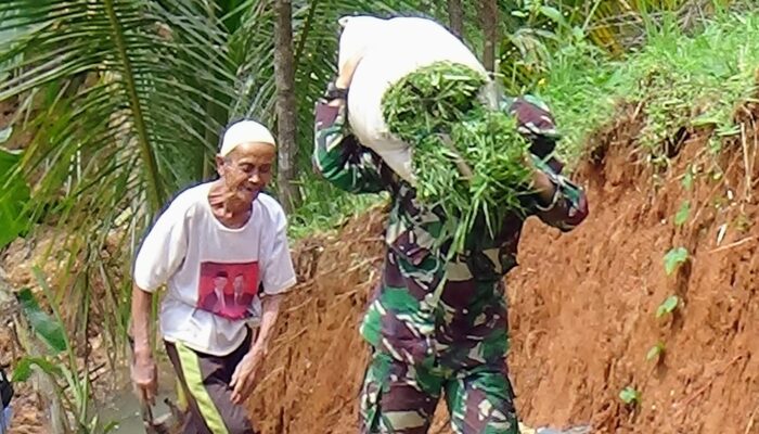 Anggota TNI Kodim Pangandaran Bantu Lansia Angkut Rumput Saat TMMD ke-123 di Langkaplancar