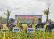 Bupati Pangandaran Bersama Forkopimda Panen Raya di Farmers Field Day