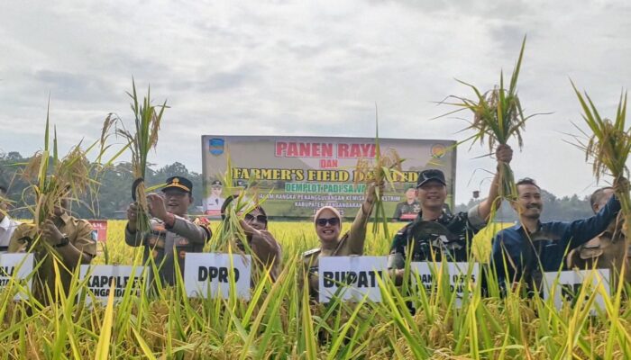Bupati Pangandaran Bersama Forkopimda Panen Raya di Farmers Field Day