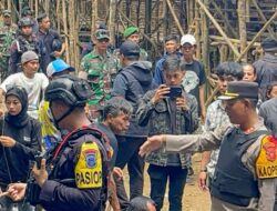 Pertunjukan Adu Bagong Ditertibkan, Aparat Gabungan Tegakkan Hukum dan Lindungi Hewan