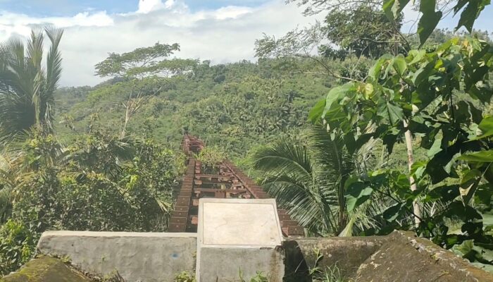 Jembatan Cikacepit: Ikon Infrastruktur Terpanjang di Indonesia yang Menembus Pegunungan Pangandaran