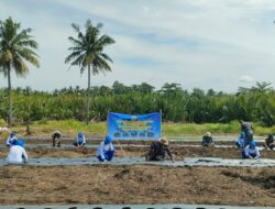 TNI AL Pangandaran Tanam Semangka untuk Dukung Ketahanan Pangan Nasional