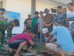 Semangat Berbagi di Hari Raya Idul Adha, Posal Pangandaran Laksanakan Pemotongan Hewan Qurban