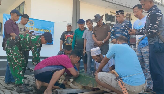 Semangat Berbagi di Hari Raya Idul Adha, Posal Pangandaran Laksanakan Pemotongan Hewan Qurban