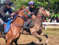 Perhelatan Menantang Adrenalin Pacuan Kuda Merdeka Cup 2025 Siap Digelar di Pangandaran