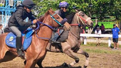 Perhelatan Menantang Adrenalin Pacuan Kuda Merdeka Cup 2025 Siap Digelar di Pangandaran