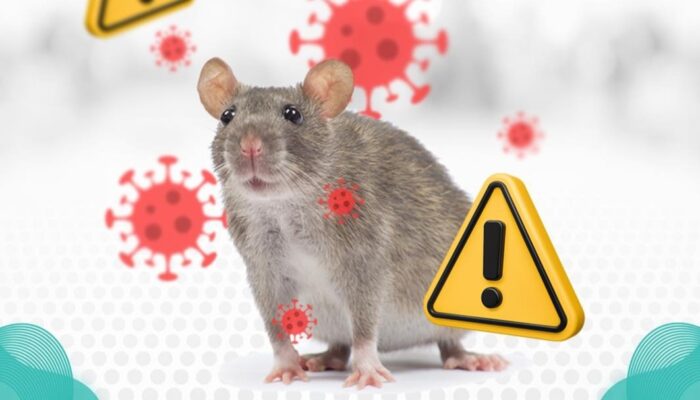 RSUD Pandega Pangandaran Ingatkan Bahaya Virus Hanta, Warga Diminta Waspada
