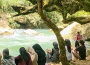 Sungai Cigerendong Pangandaran, Surga Tersembunyi dengan Air Hijau Toska yang Memikat Wisatawan