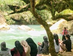 Sungai Cigerendong Pangandaran, Surga Tersembunyi dengan Air Hijau Toska yang Memikat Wisatawan