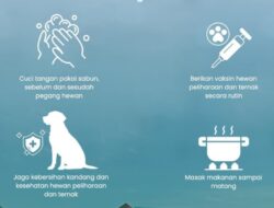 Waspada Penyakit dari Hewan, RSUD Pandega Pangandaran Bagikan Tips Lindungi Diri dan Hewan Peliharaan