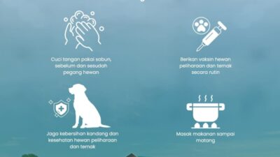 Waspada Penyakit dari Hewan, RSUD Pandega Pangandaran Bagikan Tips Lindungi Diri dan Hewan Peliharaan