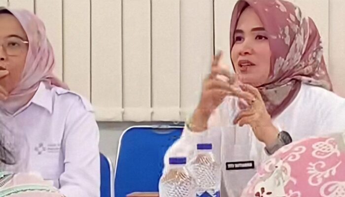 RSUD Pandega Pangandaran Mantapkan Langkah Jadi Rumah Sakit Pengampu Layanan KJSU dan KIA