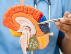 Layanan Pemeriksaan Dokter Spesialis Saraf RSUD Pandega Pangandaran