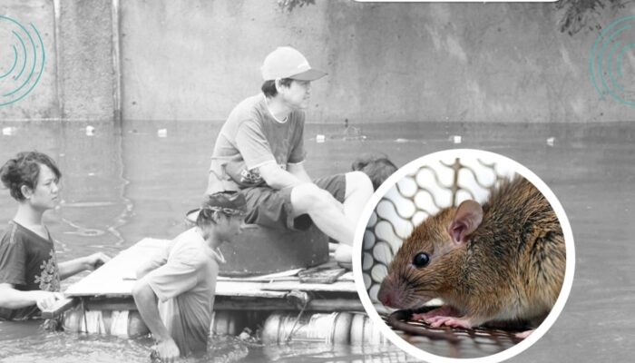 Ancaman Leptospirosis Mengintai Saat Banjir, RSUD Pandega Pangandaran Ingatkan Warga Tetap Waspada
