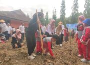 Disdikpora Pangandaran Tanam Bibit Jagung Serentak di Seluruh Sekolah