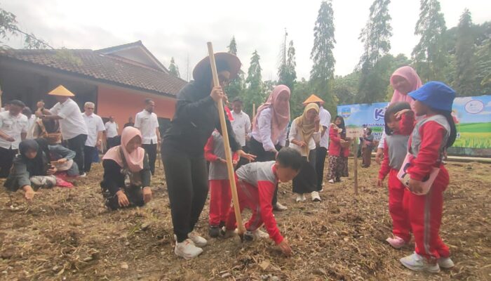 Disdikpora Pangandaran Tanam Bibit Jagung Serentak di Seluruh Sekolah