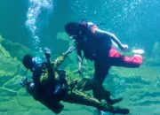 Libur Lebaran Makin Seru! Aquarium Indonesia Pangandaran Hadirkan ‘Ocean Fun Eid’ dengan Pertunjukan Bawah Laut Spektakuler