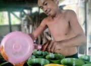 Gigih Sejak Muda, Penderes Asal Karangtirta Panen 70 Kg Gula Kelapa Tiap Dua Hari