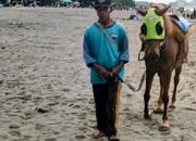 Berkah Libur Lebaran 2026, Usaha Kuda Wisata di Pantai Pangandaran Alami Peningkatan Pendapatan