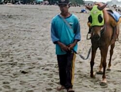 Berkah Libur Lebaran 2026, Usaha Kuda Wisata di Pantai Pangandaran Alami Peningkatan Pendapatan