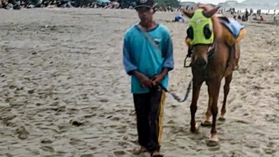 Berkah Libur Lebaran 2026, Usaha Kuda Wisata di Pantai Pangandaran Alami Peningkatan Pendapatan