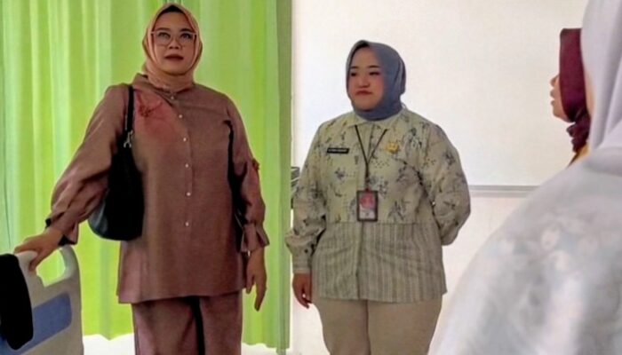 Kunjungi RSUD Pandega Pangandaran, Anggota DPR RI Ida Nurlaela Tekankan Peningkatan Layanan dan Sentuhan Humanis