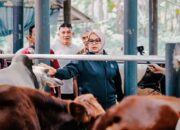 Anggota DPR RI Hj Ida Nurlaela Resmikan Kandang Sapi Kelompok Tani di Desa Rancah