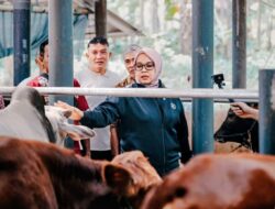 Anggota DPR RI Hj Ida Nurlaela Resmikan Kandang Sapi Kelompok Tani di Desa Rancah