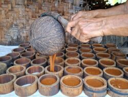 Penderes Gula Kelapa Bertahan di Tengah Cuaca Tak Menentu, Hasil Air Nira Menur