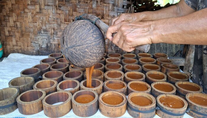 Penderes Gula Kelapa Bertahan di Tengah Cuaca Tak Menentu, Hasil Air Nira Menur