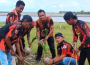 Peringati Hari Lahir Pancasila 2026, Pemuda Pancasila Pangandaran Tanam 100 Pohon di Pesisir Karangtirta