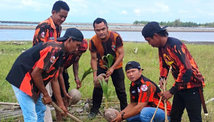 Peringati Hari Lahir Pancasila 2026, Pemuda Pancasila Pangandaran Tanam 100 Pohon di Pesisir Karangtirta