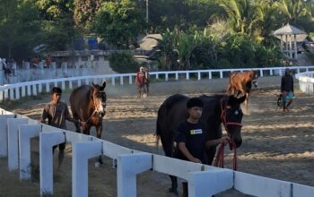 Persaingan Final Kejurnas Seri I Indonesia Derby 2026 Memanas, Kuda-Kuda Terbaik Indonesia Siap Beradu Cepat di Legokjawa Pangandaran