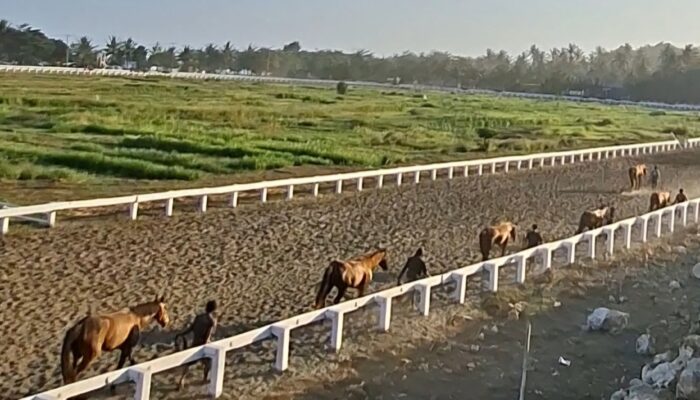 Drawing Gate Babak Penyisihan Kejurnas Pacuan Kuda Pordasi ke-60 Seri I Indonesia Derby 2026 Resmi Dirilis, 12 Race Siap Suguhkan Persaingan Sengit