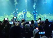 Aquarium Indonesia Pangandaran Gelar “Pesta Bola di Bawah Laut”, Hadirkan Atraksi Unik Sambut FIFA World Cup 2026