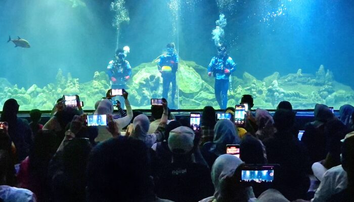 Aquarium Indonesia Pangandaran Gelar “Pesta Bola di Bawah Laut”, Hadirkan Atraksi Unik Sambut FIFA World Cup 2026