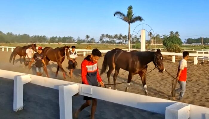 Konsep Summer Race dan Kehadiran Podkesmas