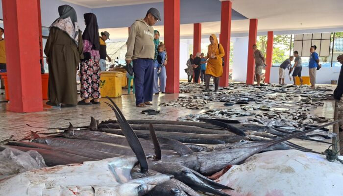 Hasil Tangkapan Melimpah di Musim Kemarau, Nelayan Bojongsalawe Sambut Berkah Kembalinya TPI Baru