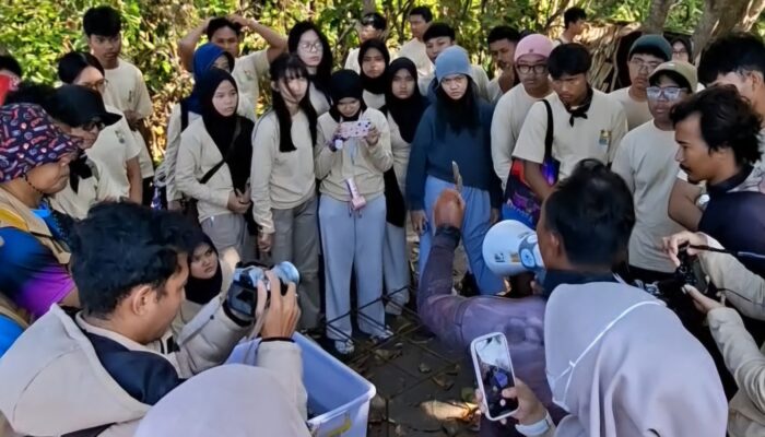 Edukasi Konservasi Bahari, Duck Dive Batukaras dan SMAN 8 Jakarta Gelar Transplantasi Terumbu Karang