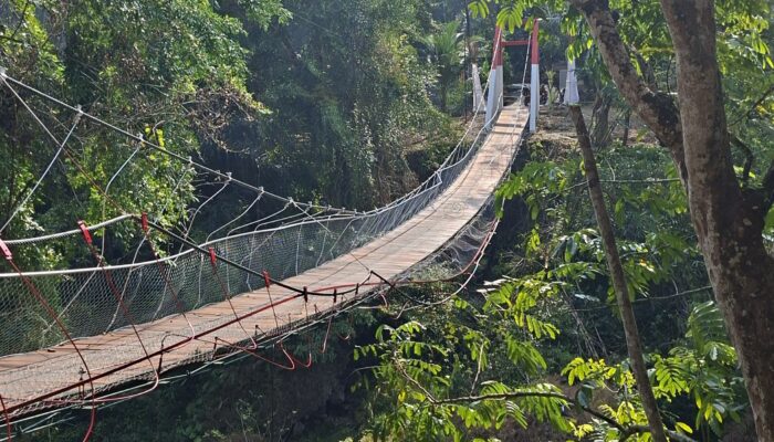 Cegah Jatuhnya Korban, Pembangunan Jembatan di Pangandaran Didesak Gunakan Konstruksi Permanen