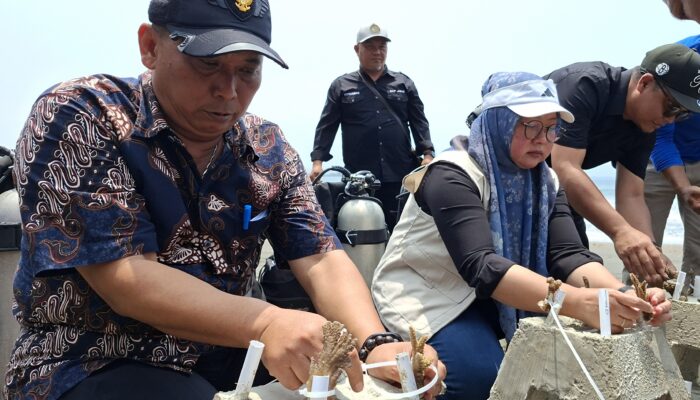 DKP Jabar Gelar Transplantasi Terumbu Karang di Batukaras dan Sukabumi