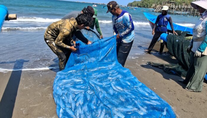Nelayan Tradisional Pangandaran Panen Ikan Kakacangan
