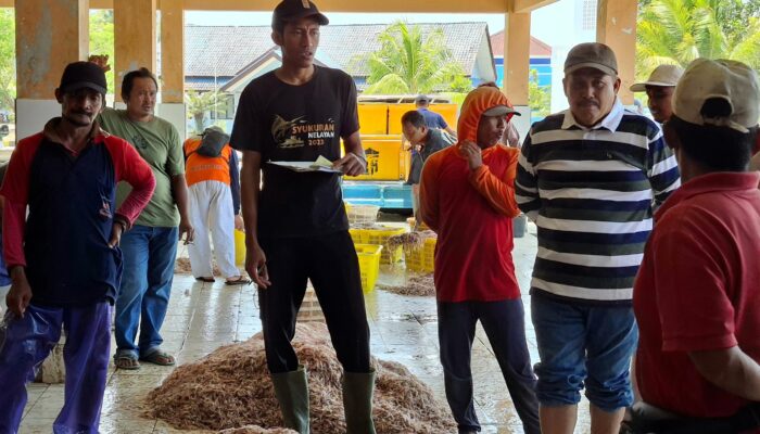 KUD Minasari Pangandaran Siapkan Langkah Stabilkan Harga Udang Rebon dan Layur